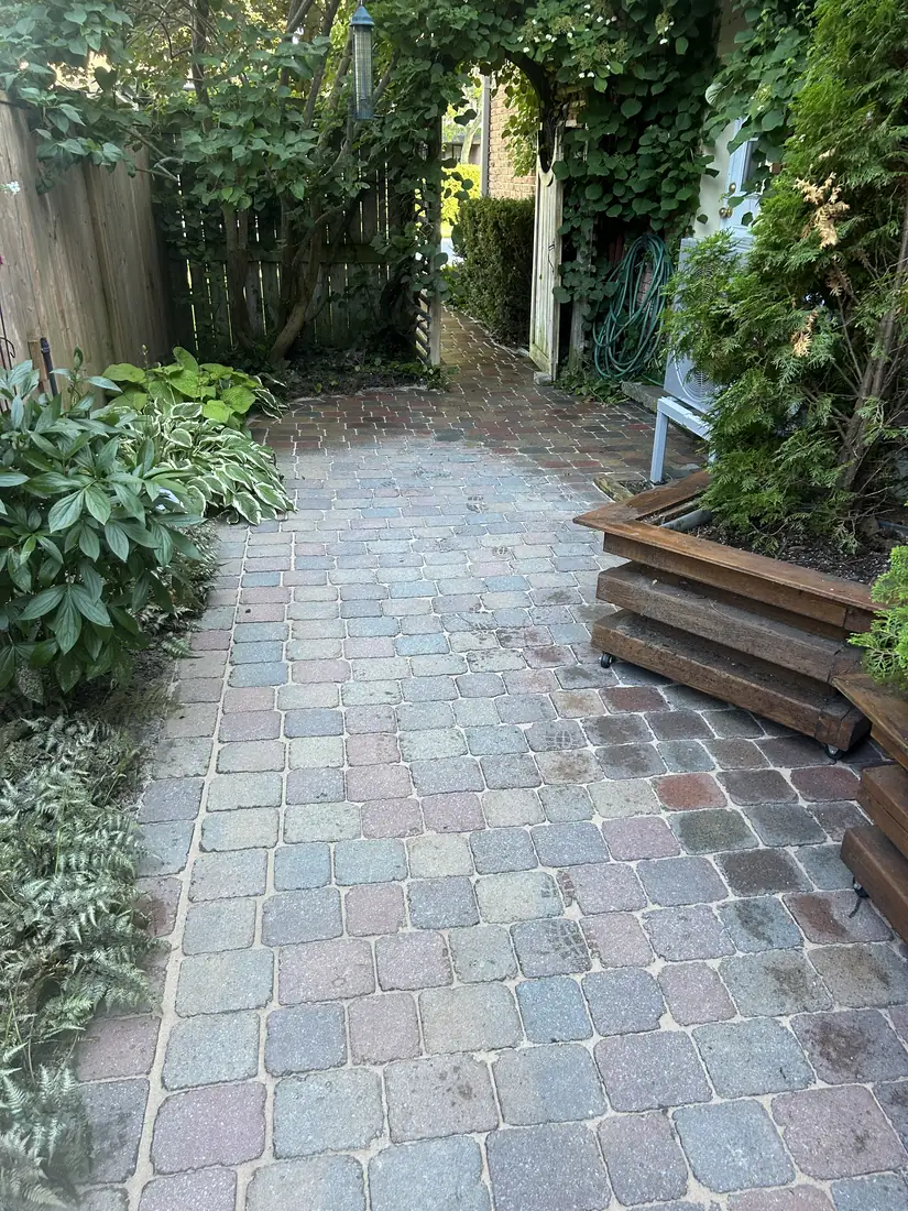 Interlock walkway after pressure washing in Kingston