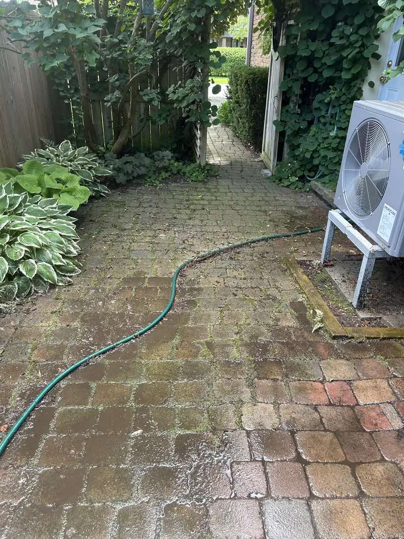 Paver walkway pressure washing before and after contrast in Kingston