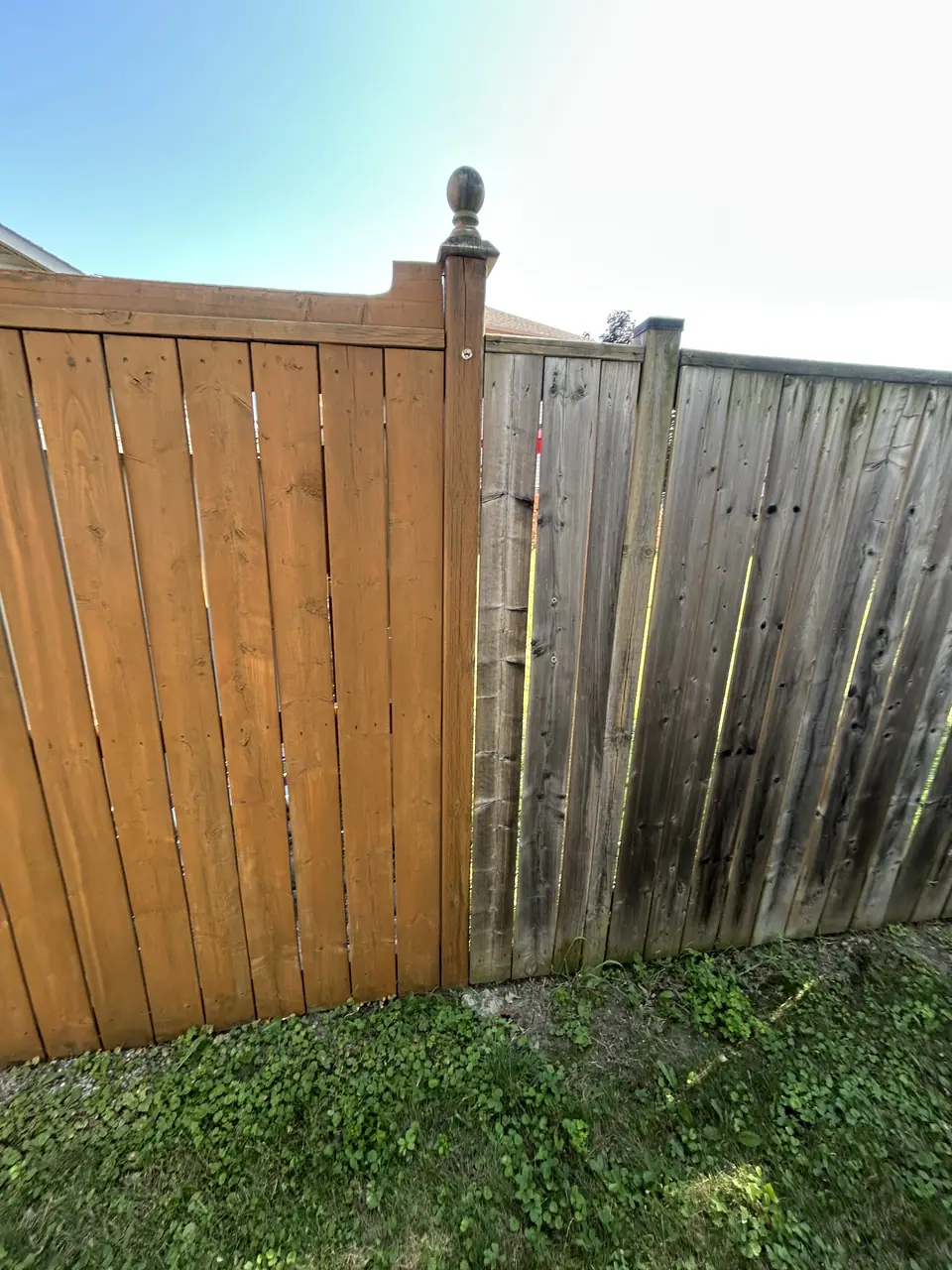 Freshly stained wood fence beside weathered grey fence in Kingston