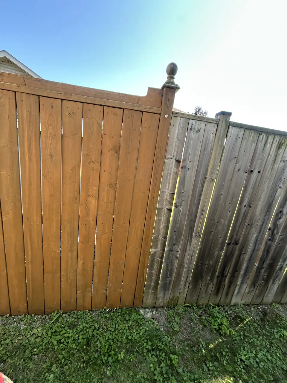 Fence staining in progress in Kingston — stained vs weathered wood