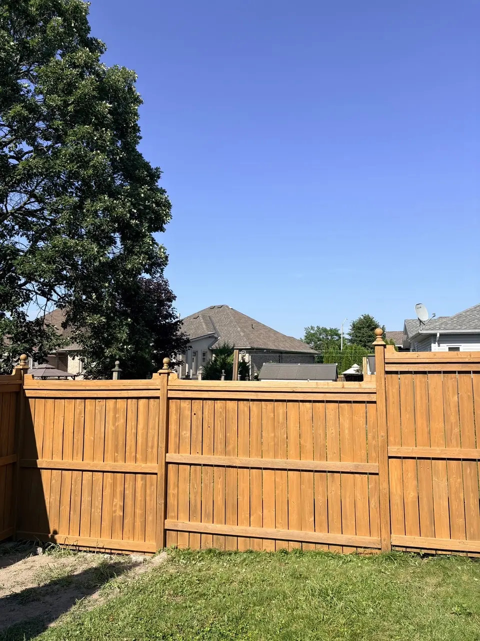 Stained fence panels in Kingston yard