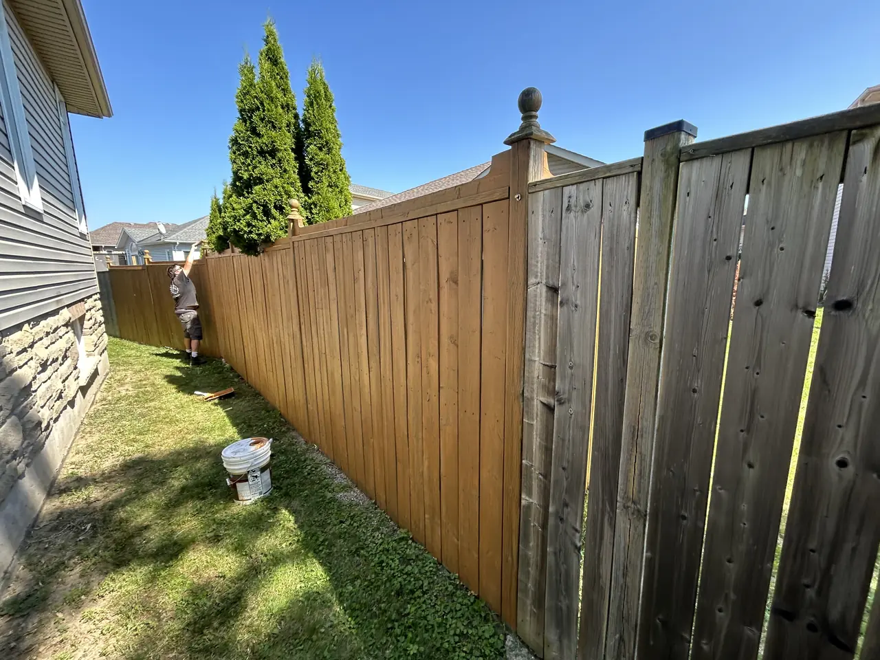 Freshly stained wood fence in Kingston