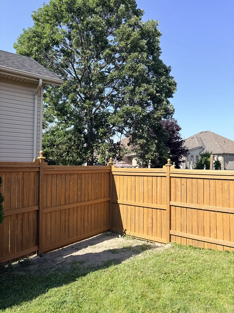 Backyard wood fence after staining in Kingston